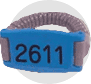 wristband image