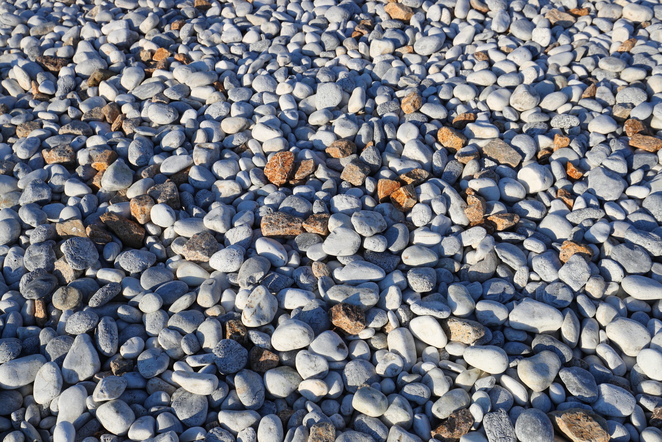 りんくう公園マーブルビーチの白い玉石